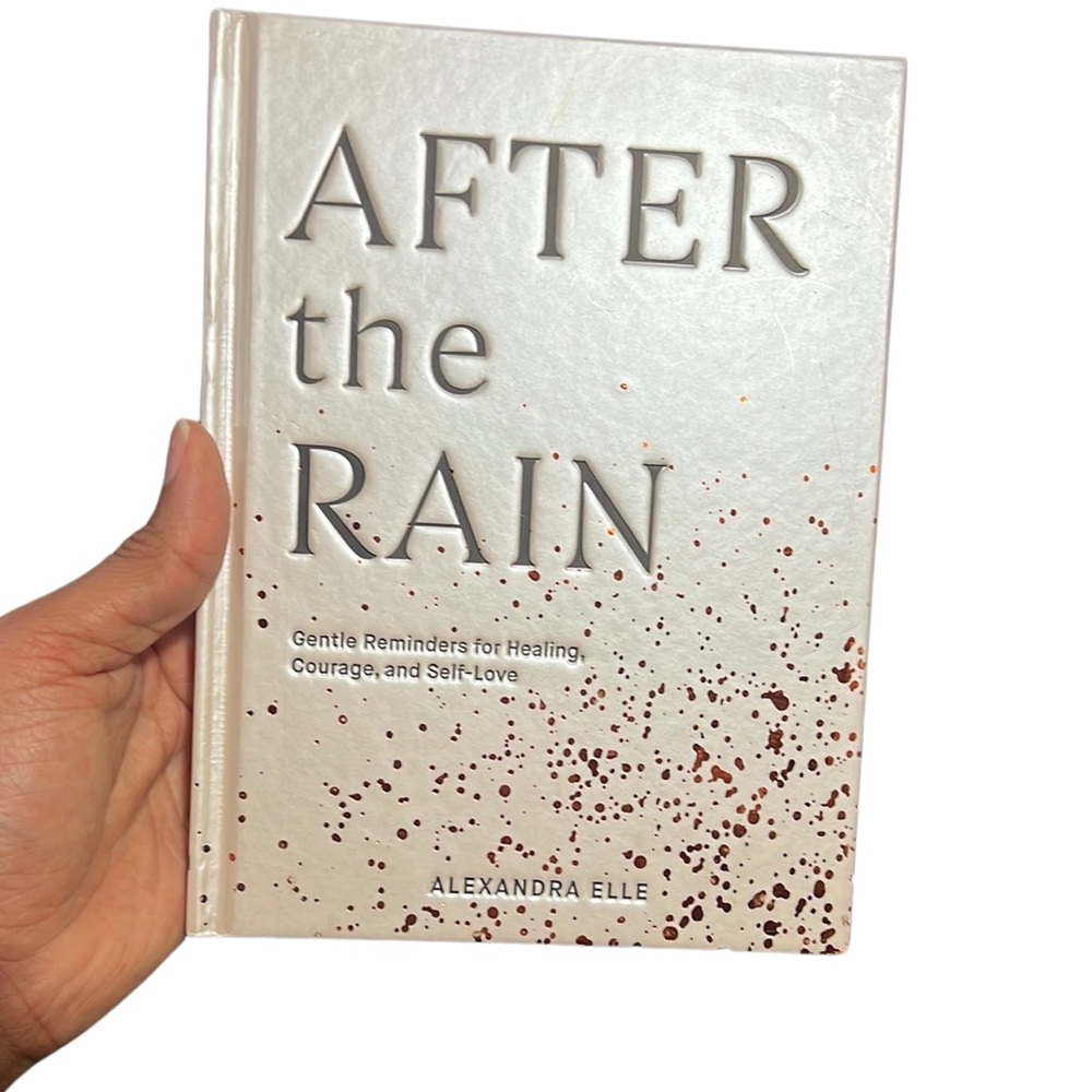 After the Rain Hardcover Book by Alex Zelle